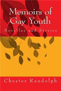 Memoirs of Gay Youth