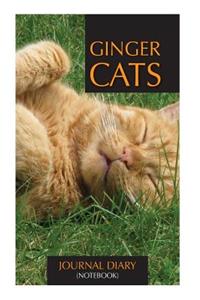 Ginger Cats Journal Diary (Notebook)