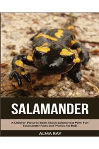 Salamander