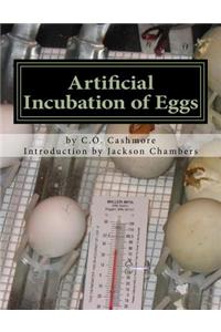 Artificial Incubation of Eggs