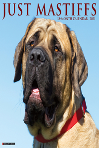 Just Mastiffs 2021 Wall Calendar (Dog Breed Calendar)