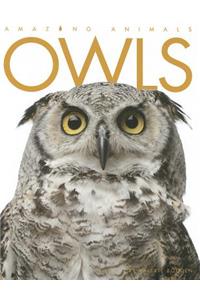 Owls