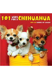 101 Uses for a Chihuahua