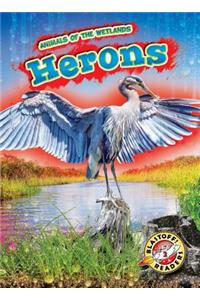 Herons