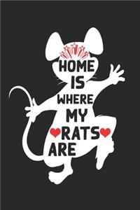 Home Is Where My Rats Are