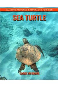 Sea Turtle