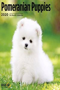 POMERANIAN PUPPIES CALENDAR 2020