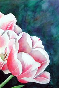 Pink Tulips