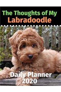 The Thoughts of My Labradoodle