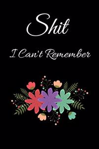 Shit I Can't Remember