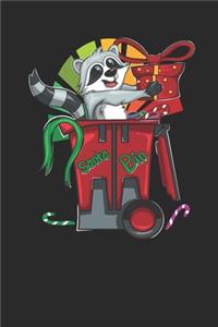Racoon Christmas