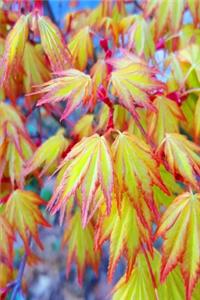 2020 Weekly Planner Spring Japanese Maple Leaves 134 Pages