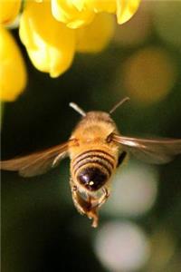 Following the Honey Bee in Flight Journal