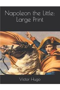 Napoleon the Little: Large Print