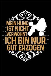 Nicht Verwöhnt (Pudel)