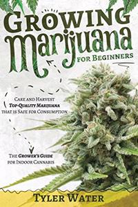 Growing Marijuana for Beginners