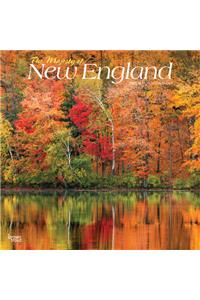 Majesty of New England, the 2021 Square