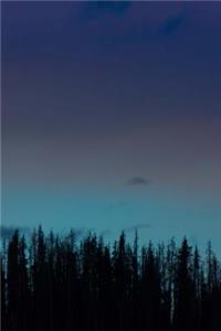 Pine Trees with Ombre Blue Sky