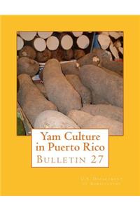 Yam Culture in Puerto Rico