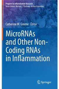 Micrornas and Other Non-Coding Rnas in Inflammation