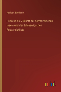 Blicke in die Zukunft der nordfriesischen Inseln und der Schleswigschen Festlandsküste