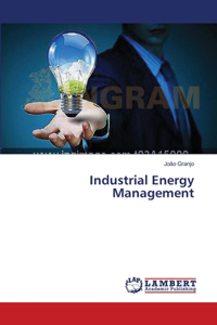 Industrial Energy Management