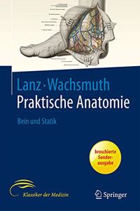 Bein Und Statik