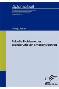 Aktuelle Probleme der Bilanzierung von Emissionsrechten