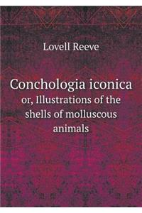 Conchologia Iconica Or, Illustrations of the Shells of Molluscous Animals