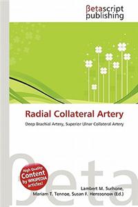 Radial Collateral Artery