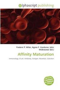 Affinity Maturation