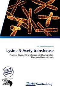 Lysine N-Acetyltransferase