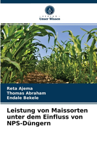 Leistung von Maissorten unter dem Einfluss von NPS-Düngern