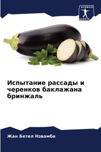 Испытание рассады и черенков баклажана бр