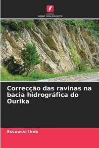 Correcção das ravinas na bacia hidrográfica do Ourika