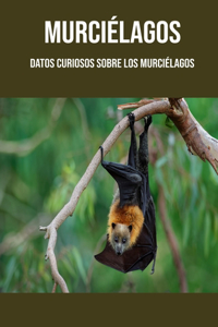 Murciélagos