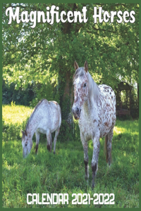 Magnificent Horses Calendar 2021-2022