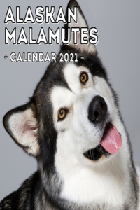 Alaskan Malamutes