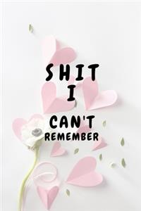 Shit I Can't Remember