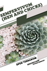 Sempervivum (Hen and Chicks)