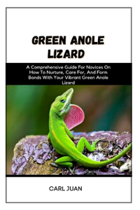 Green Anole Lizard