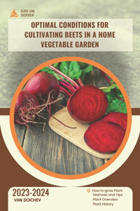 Optimal conditions for cultivating beets in a home vegetable garden