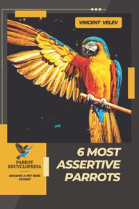 6 Most Assertive Parrots