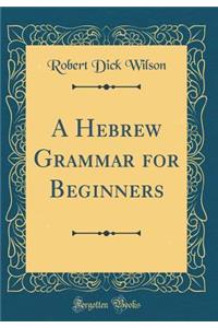 A Hebrew Grammar for Beginners (Classic Reprint)