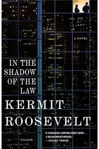 In the Shadow of the Law