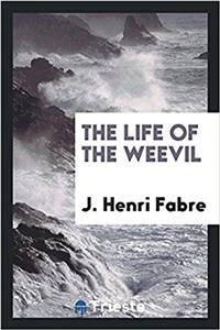 The Life of the Weevil