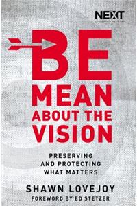 Be Mean About the Vision