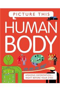 Picture This: Human Body