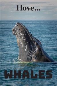 I Love Whales