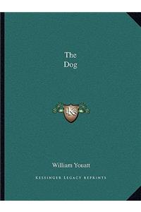 The Dog